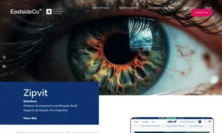 Preview of the Zipvit Case Study