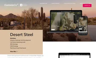 Preview of the Desert Steel Case Study