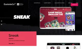 Preview of the Sneak Energy Case Study