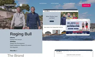 Preview of the Raging Bull Case Study