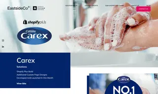 Preview of the PZ Cussons Case Study