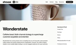 Preview of the Wonderstate Case Study