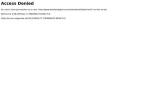 Preview of the Adobe Case Study