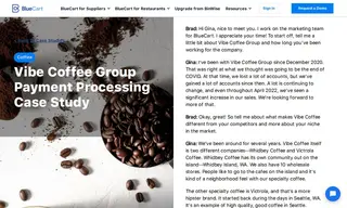 Preview of the Vibe Coffee Group Case Study