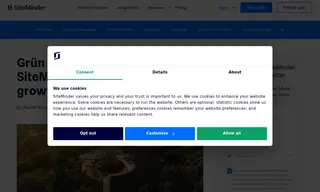 Preview of the Grün Resorts Case Study