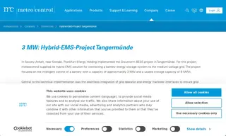 Preview of the Frankfurt Energy Holding Case Study