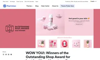 Preview of the WOW YOU! Case Study