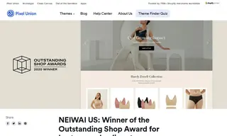 Preview of the Neiwai US Case Study