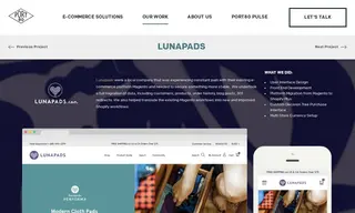Preview of the Lunapads Case Study