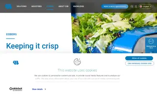 Preview of the Eisberg AG Case Study