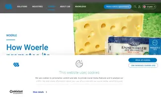 Preview of the Woerle Case Study