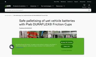 Preview of the Gruppo Esea Case Study