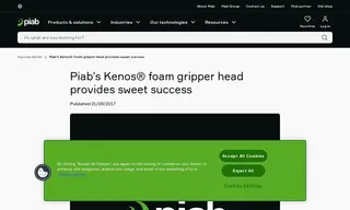 Preview of the Leading British Sugar Manufacturer Case Study