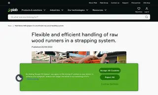 Preview of the Officina Meccanica Sestese SpA Case Study