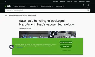 Preview of the Tecno Pack SpA Case Study