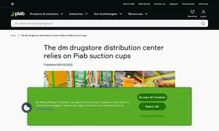 Preview of the dm Case Study