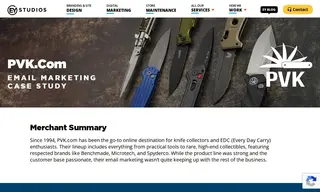 Preview of the PVK.com Case Study
