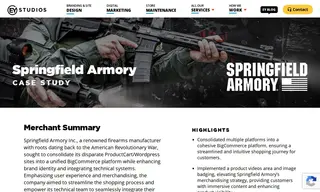 Preview of the Springfield Armory Inc Case Study