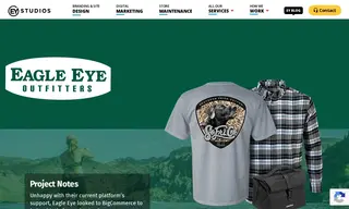 Preview of the Eagle Eye Outfitters Case Study