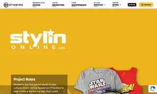 Preview of the Stylin Online Case Study