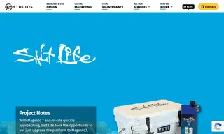 Preview of the Salt Life Case Study
