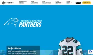 Preview of the Carolina Panthers Case Study