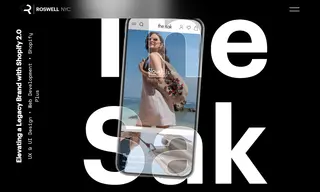 Preview of the The Sak Case Study