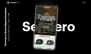 Preview of the Sendero Provisions Co Case Study