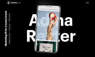 Preview of the Adina Reyter Case Study