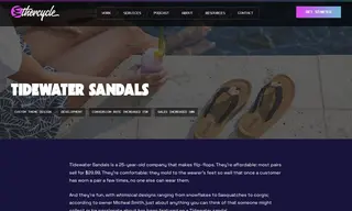 Preview of the Tidewater Sandals Case Study