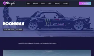 Preview of the Hoonigan Case Study