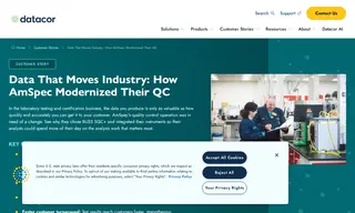Preview of the AmSpec Group Case Study