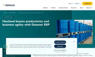Preview of the Haviland Enterprises, Inc Case Study