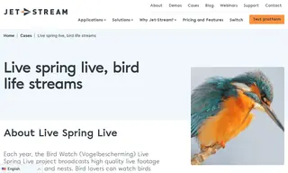 Preview of the Vogelbescherming (Bird Watch) Case Study