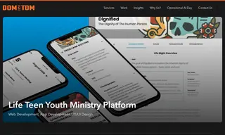 Preview of the Life Teen Case Study