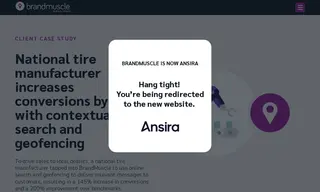 Preview of the National Tire Manufacturer Case Study