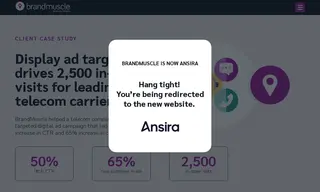Preview of the Leading Telecom Carrier Case Study
