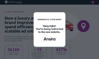 Preview of the Fortune 1000 Brand Management Case Study