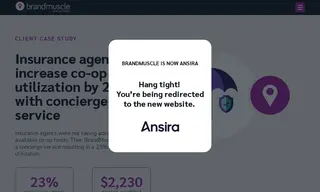Preview of the Leading Insurance Company Case Study