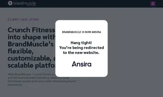 Preview of the Crunch Fitness Case Study