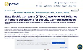 Preview of the State Electric Company Limited (stelco) Case Study