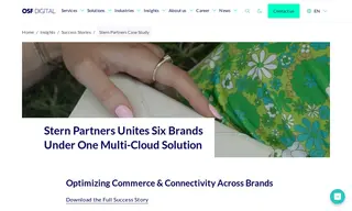 Preview of the Stern Partners Case Study