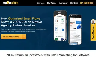 Preview of the Brytesoft Case Study