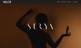 Preview of the Surya Case Study