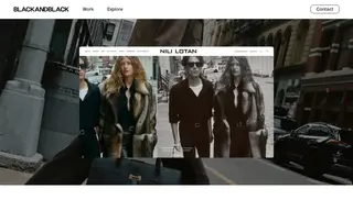 Preview of the Nili Lotan Case Study