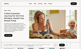 Preview of the Willow Case Study