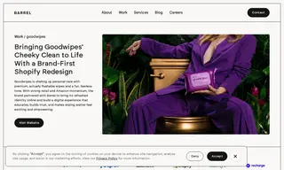 Preview of the Goodwipes Case Study