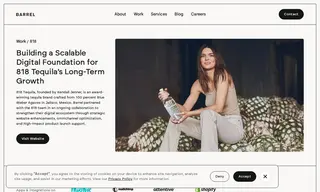 Preview of the 818 Tequila Case Study