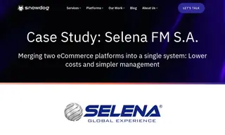 Preview of the Selena FM S.A Case Study