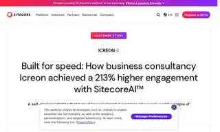 Preview of the Icreon Case Study